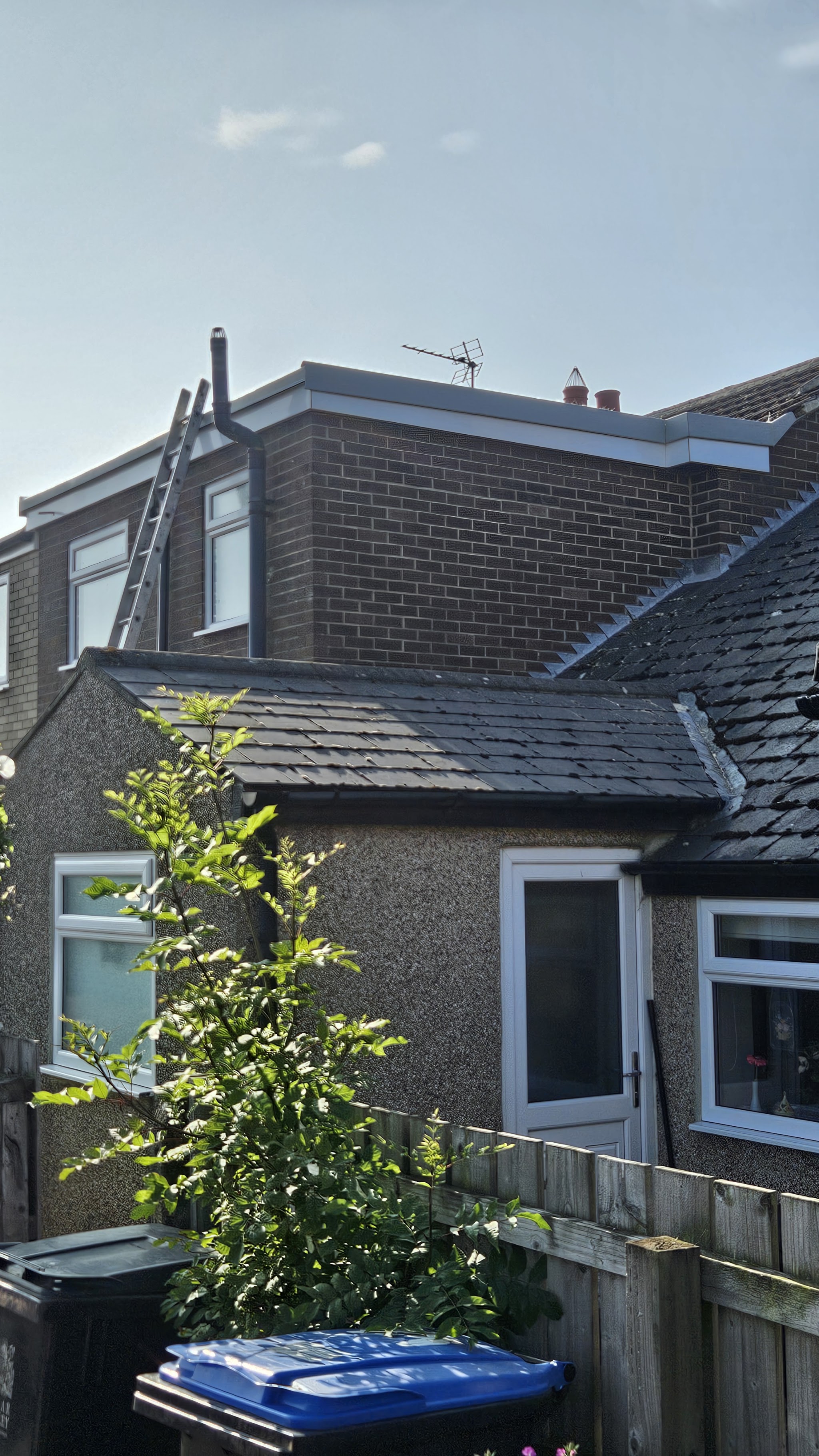 A rear extension with a new slate roof beside a pebbledash house with a ladder against it