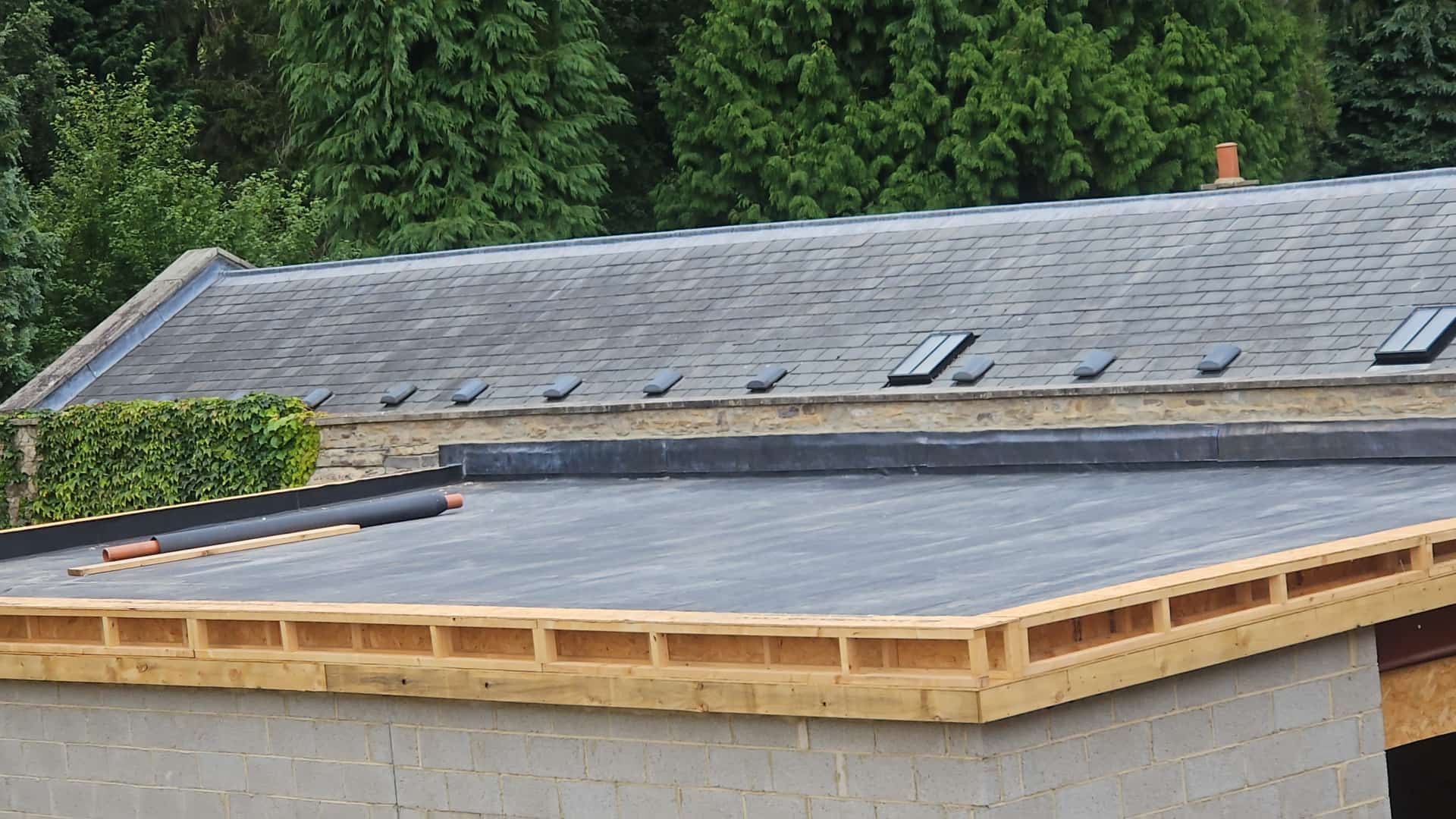 A flat roof with a timber edge beside a slate pitched roof with rooflights